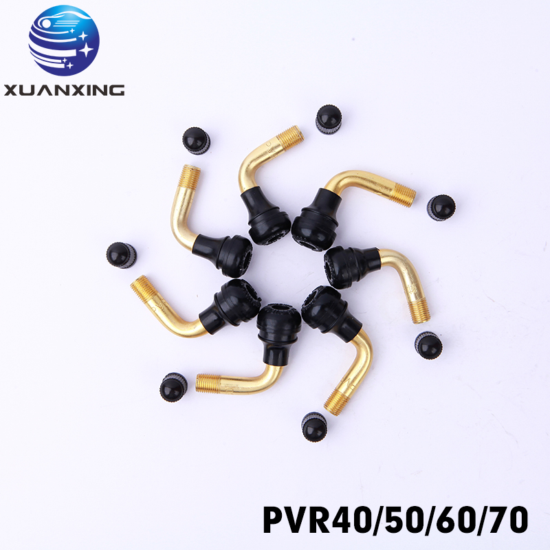100Pcs PVR70 PVR40 PVR50 PVR60 - Tubeless Valve Core recensie en prijs