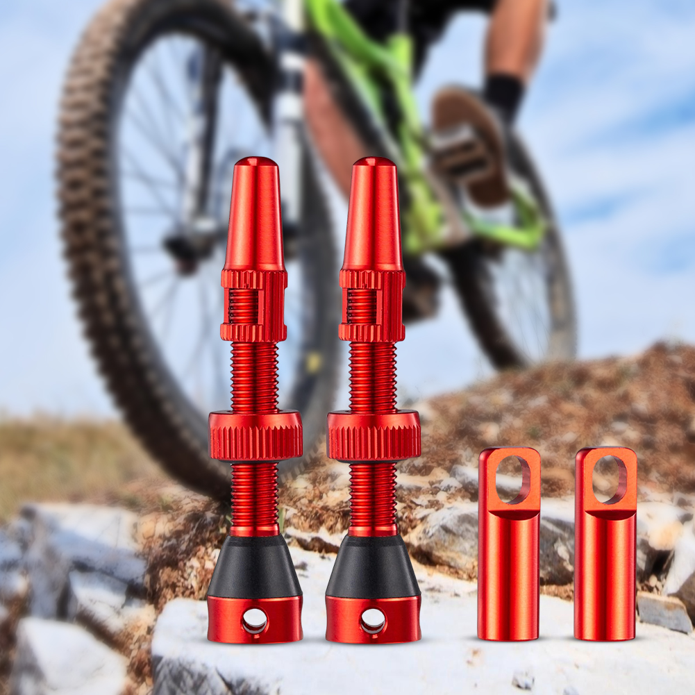 1 paar Ultralight Grind MTB Bi - Tubeless Valve Core recensie en prijs