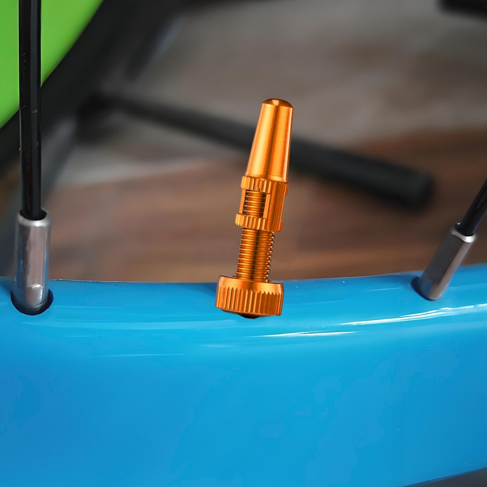 1 paar Ultralight Grind MTB Bi - Tubeless Valve Core recensie en prijs