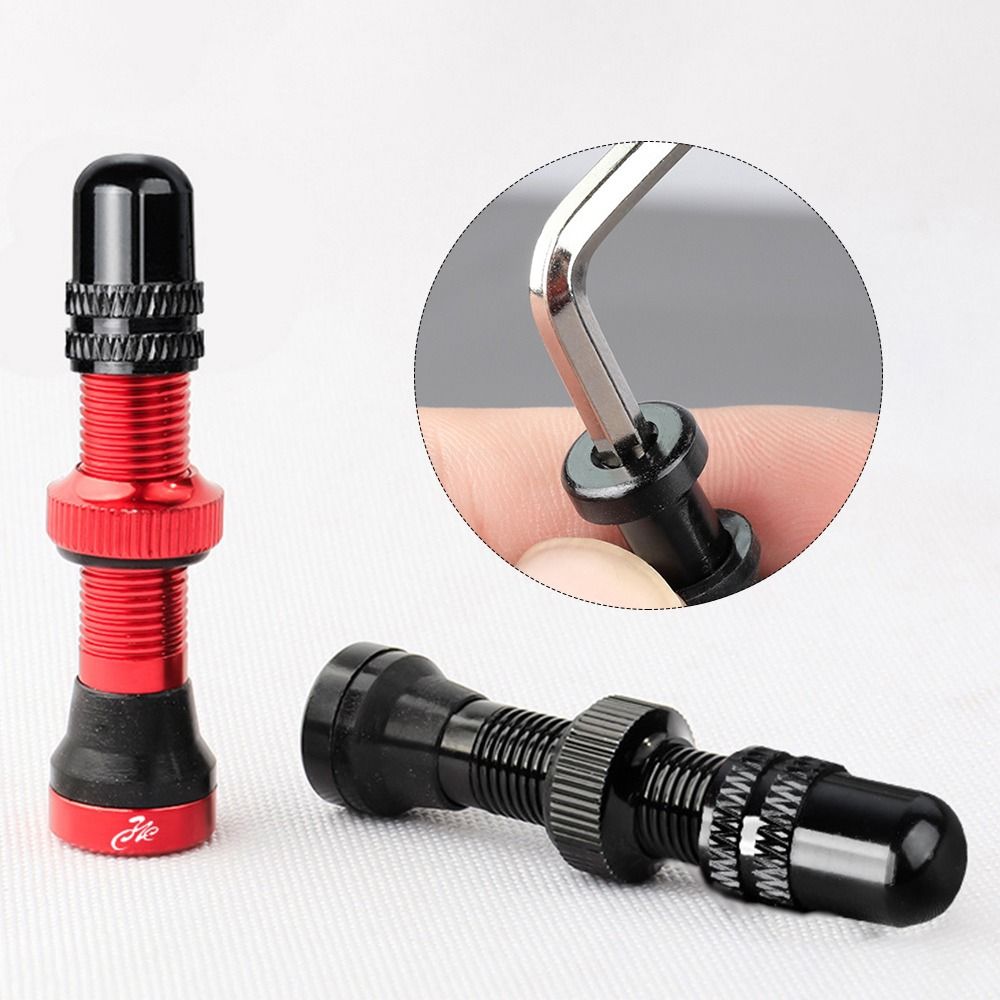1/2 Stuks 40/60Mm Messing Of G - Tubeless Valve Core recensie en prijs